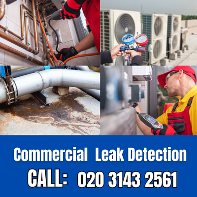 Commercial Leak Detection Services in Well Hill | Well Hill Leak Detection